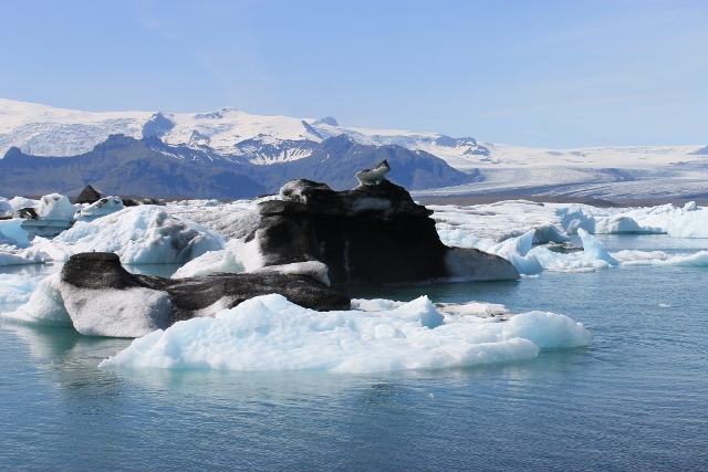 Icebergs