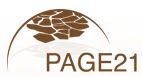 page21 logo