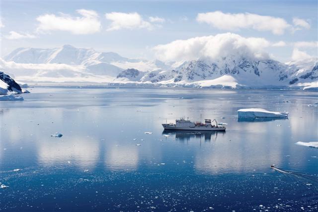The Arctic sea ice