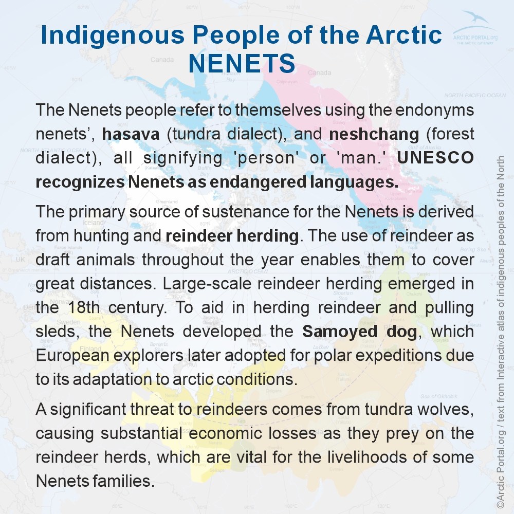 Nenets - About