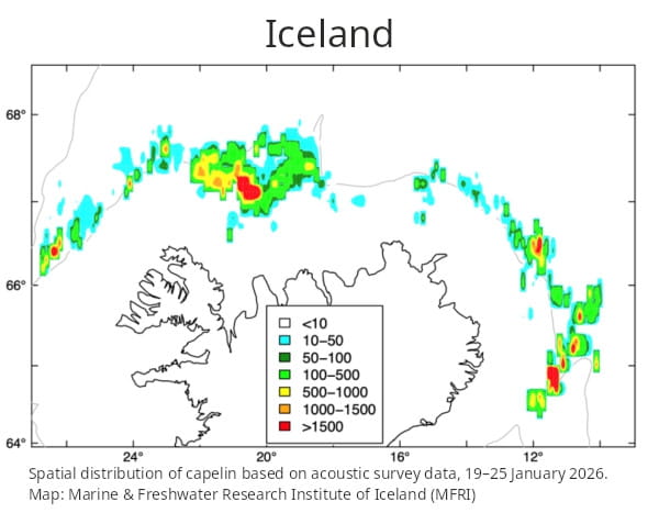 Capelin Fishing 2026, Iceland