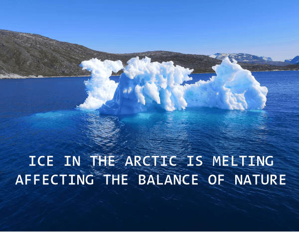 AMOC - Ice in the Arctic